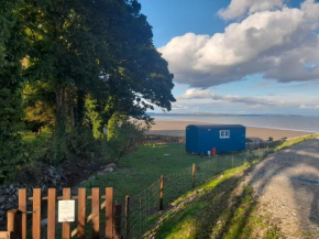 Seashore Shepherds Hut Moat Farm